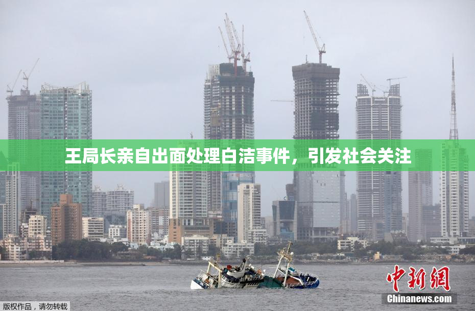 王局长亲自出面处理白洁事件，引发社会关注