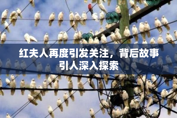 红夫人再度引发关注，背后故事引人深入探索