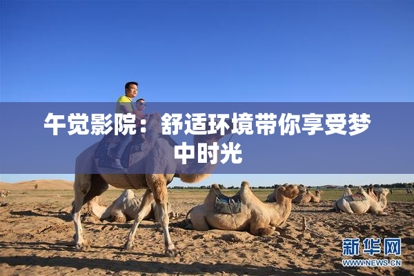 午觉影院：舒适环境带你享受梦中时光