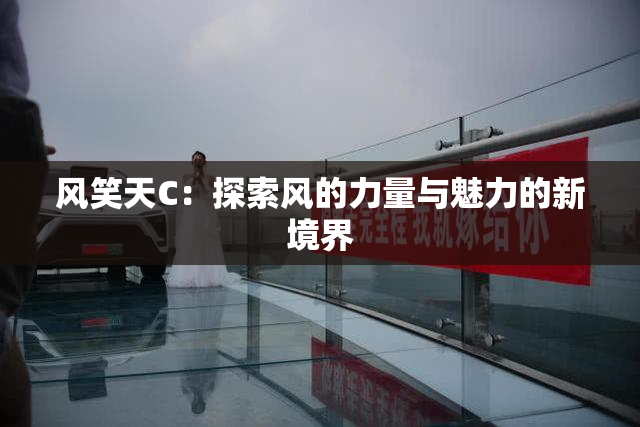 风笑天C：探索风的力量与魅力的新境界