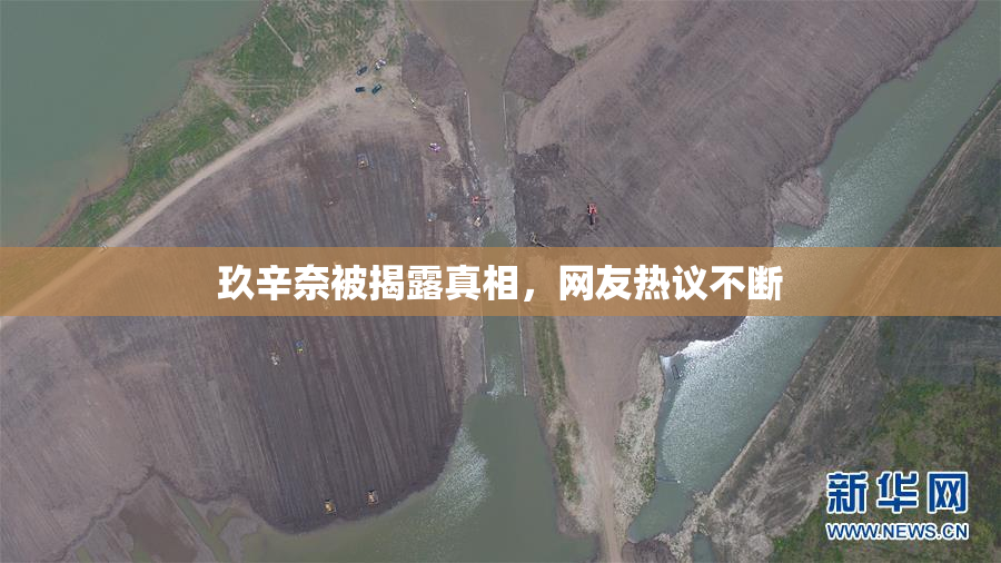 玖辛奈被揭露真相，网友热议不断