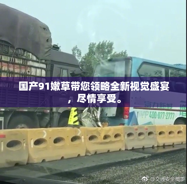国产91嫩草带您领略全新视觉盛宴，尽情享受。