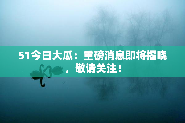 51今日大瓜：重磅消息即将揭晓，敬请关注！