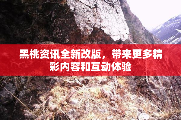 黑桃资讯全新改版，带来更多精彩内容和互动体验