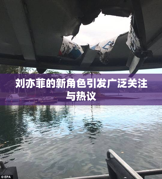 刘亦菲的新角色引发广泛关注与热议