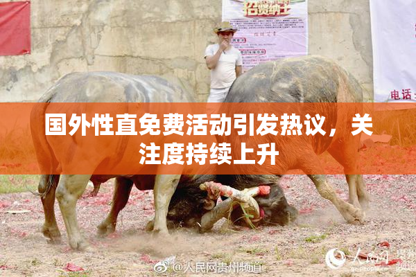 国外性直免费活动引发热议，关注度持续上升