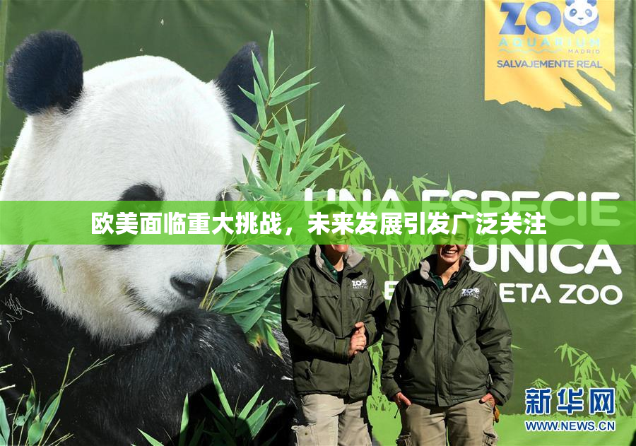 欧美面临重大挑战，未来发展引发广泛关注
