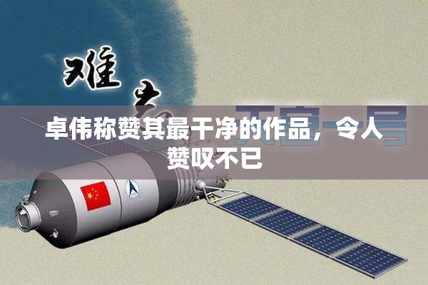 卓伟称赞其最干净的作品，令人赞叹不已