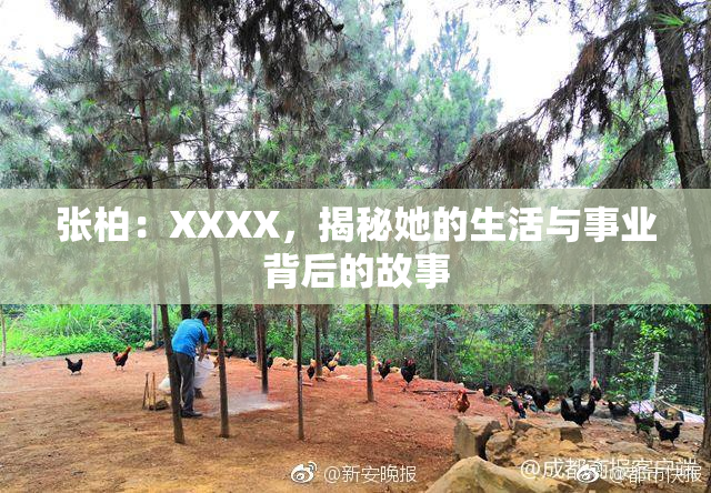 张柏：XXXX，揭秘她的生活与事业背后的故事