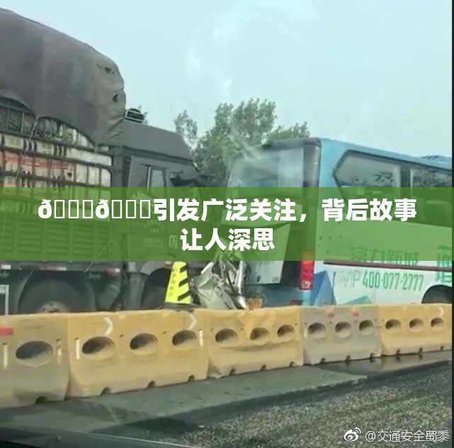 🐔🐔引发广泛关注，背后故事让人深思