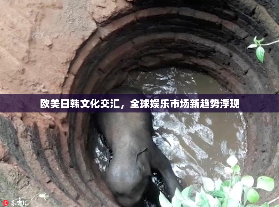 欧美日韩文化交汇，全球娱乐市场新趋势浮现