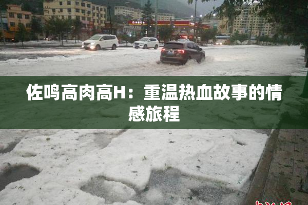 佐鸣高肉高H：重温热血故事的情感旅程