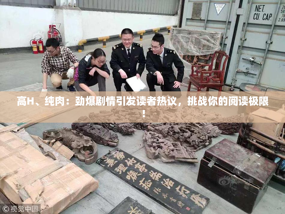 高H、纯肉：劲爆剧情引发读者热议，挑战你的阅读极限！