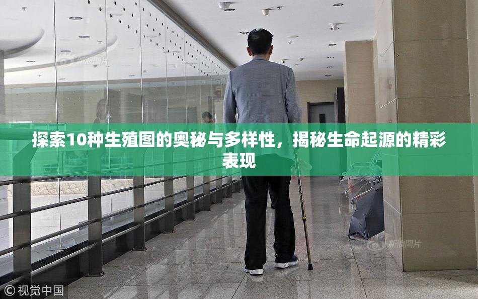 探索10种生殖图的奥秘与多样性，揭秘生命起源的精彩表现