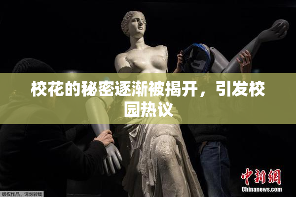 校花的秘密逐渐被揭开，引发校园热议