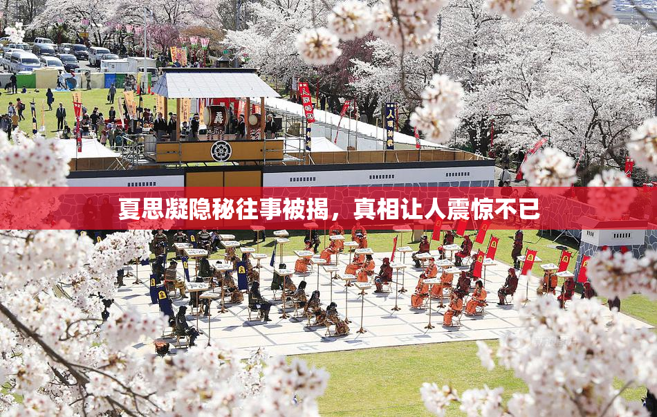 夏思凝隐秘往事被揭，真相让人震惊不已