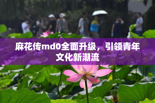麻花传md0全面升级，引领青年文化新潮流