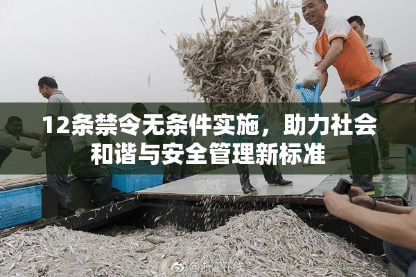 12条禁令无条件实施，助力社会和谐与安全管理新标准