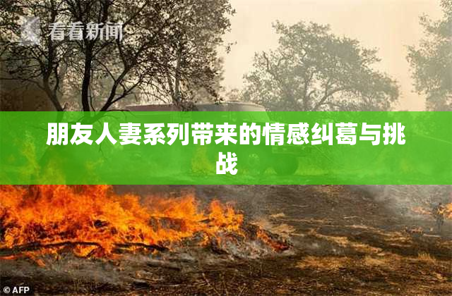 朋友人妻系列带来的情感纠葛与挑战