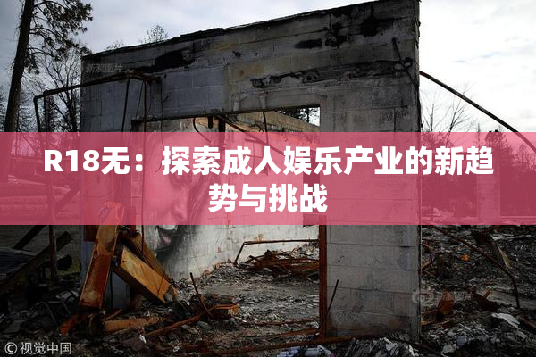 R18无：探索成人娱乐产业的新趋势与挑战