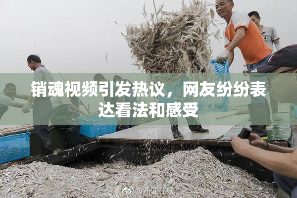 销魂视频引发热议，网友纷纷表达看法和感受