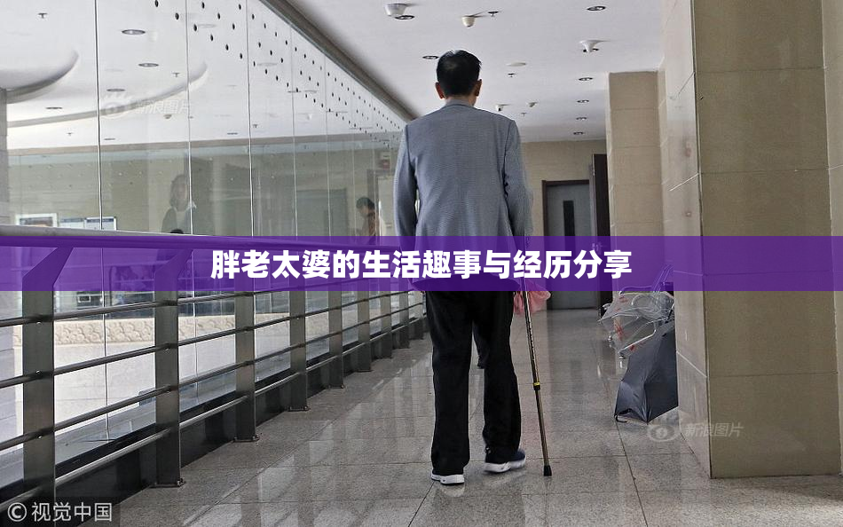 胖老太婆的生活趣事与经历分享