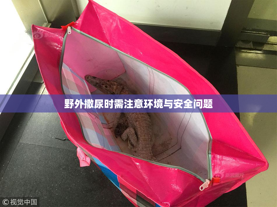 野外撒尿时需注意环境与安全问题