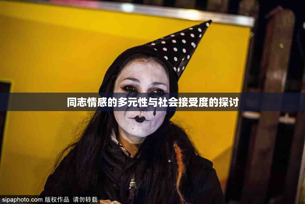 同志情感的多元性与社会接受度的探讨