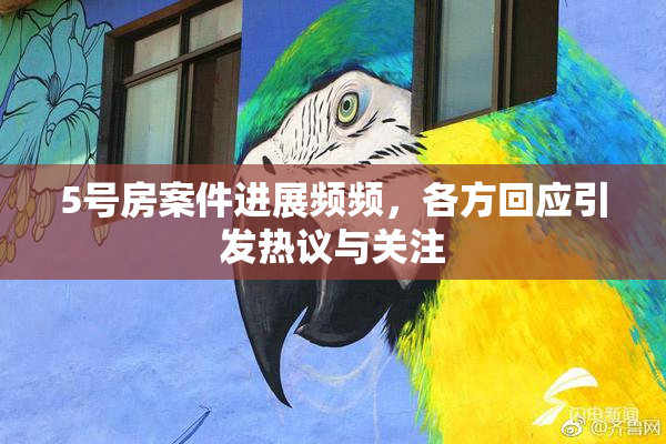 5号房案件进展频频，各方回应引发热议与关注