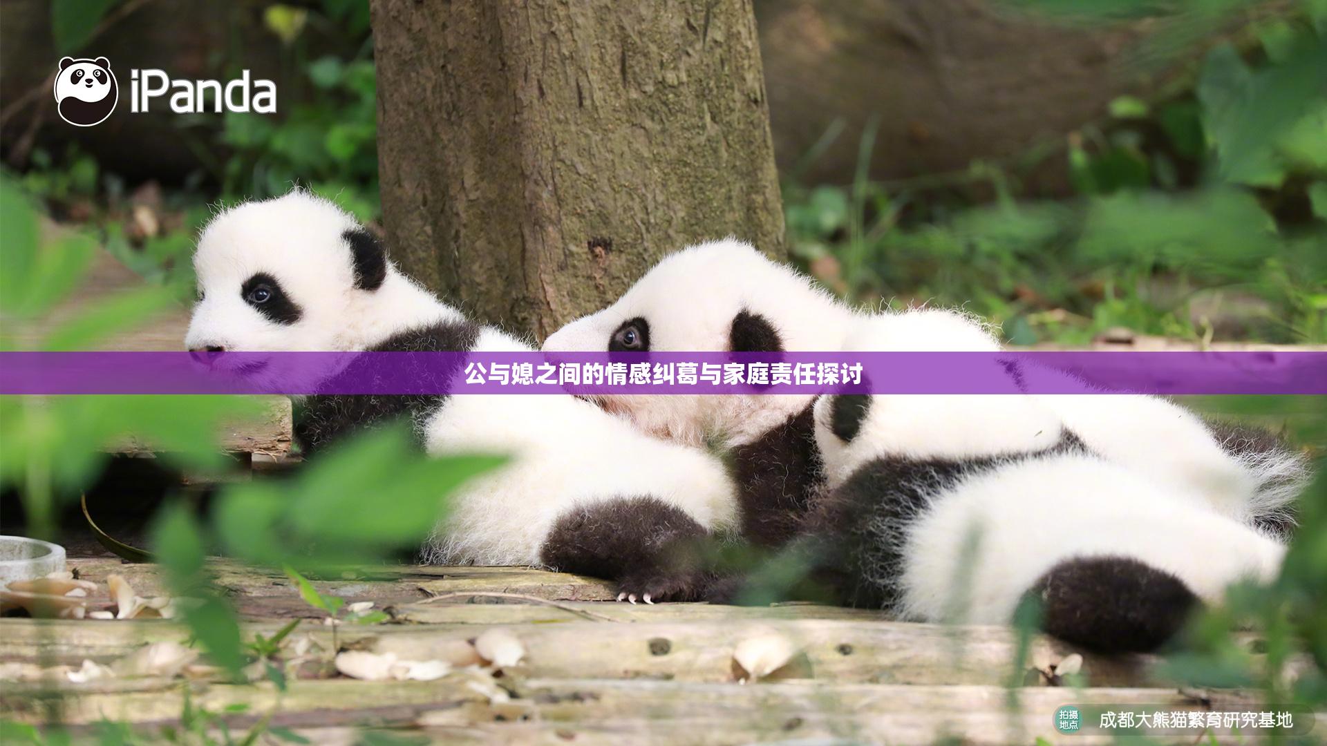 公与媳之间的情感纠葛与家庭责任探讨