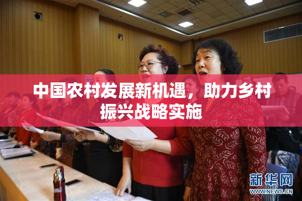 中国农村发展新机遇，助力乡村振兴战略实施