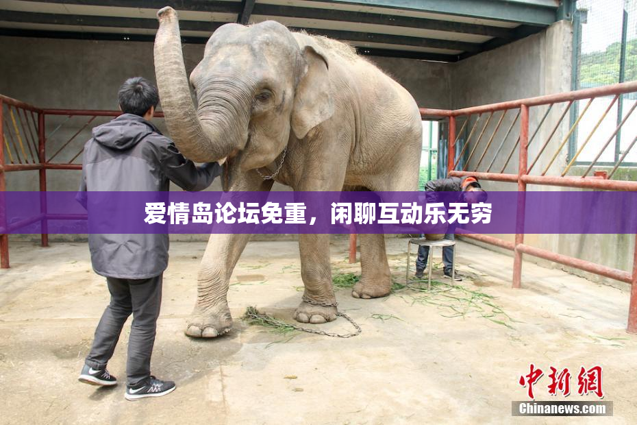 爱情岛论坛免重，闲聊互动乐无穷