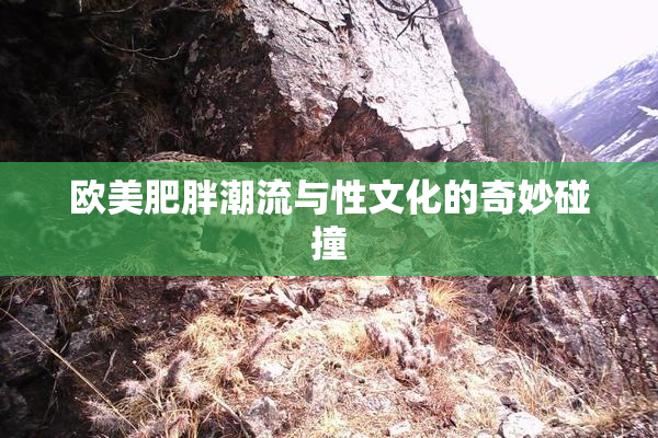 欧美肥胖潮流与性文化的奇妙碰撞