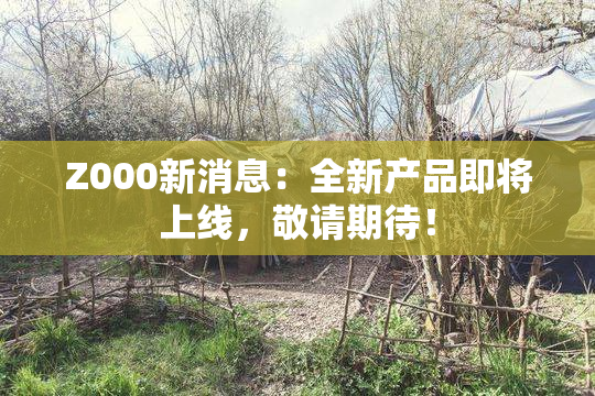 Z000新消息：全新产品即将上线，敬请期待！