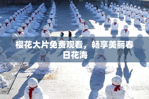 樱花大片免费观看，畅享美丽春日花海