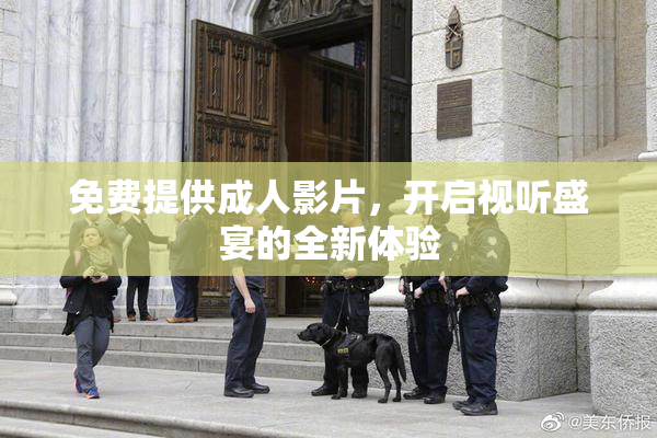 免费提供成人影片，开启视听盛宴的全新体验