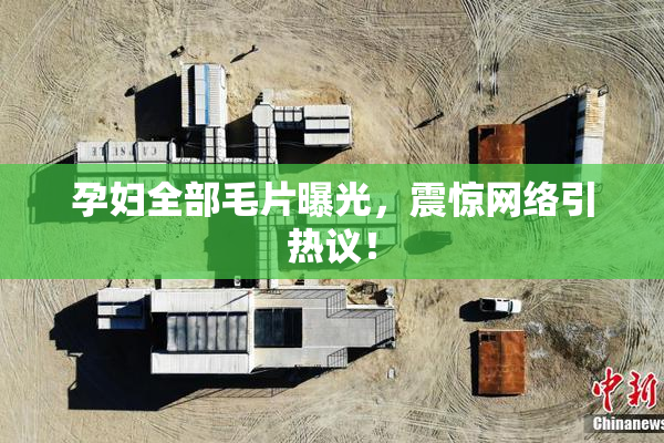 孕妇全部毛片曝光，震惊网络引热议！