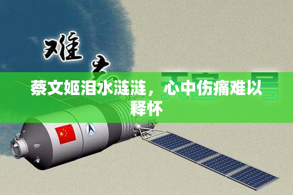 蔡文姬泪水涟涟，心中伤痛难以释怀