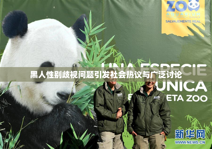 黑人性别歧视问题引发社会热议与广泛讨论