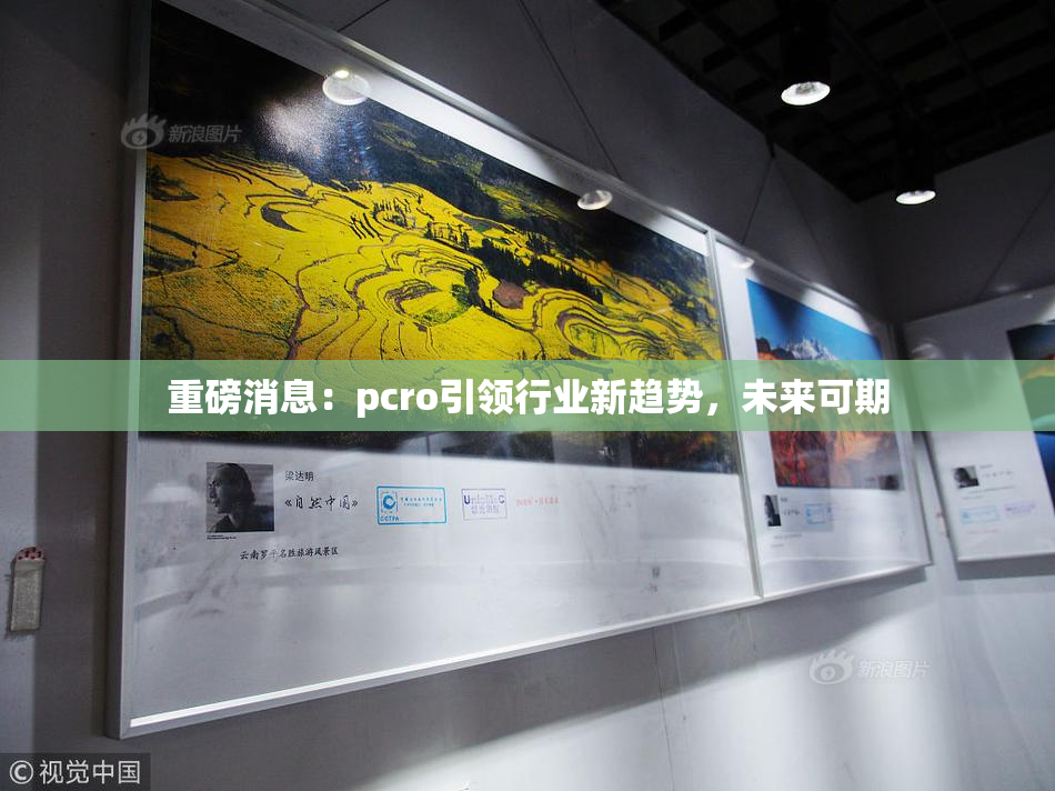 重磅消息：pcro引领行业新趋势，未来可期