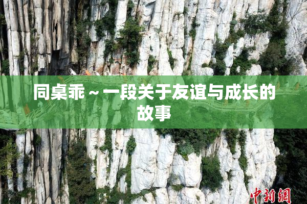 同桌乖～一段关于友谊与成长的故事