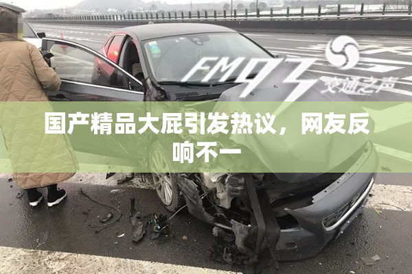 国产精品大屁引发热议，网友反响不一