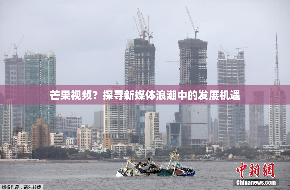 芒果视频？探寻新媒体浪潮中的发展机遇