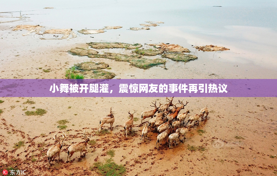 小舞被开腿灌，震惊网友的事件再引热议