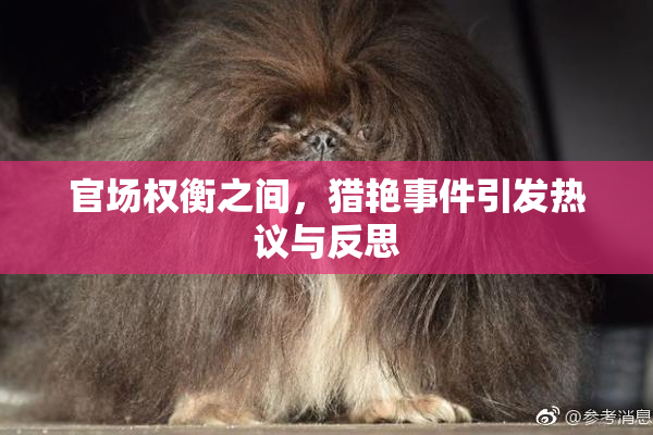 官场权衡之间，猎艳事件引发热议与反思