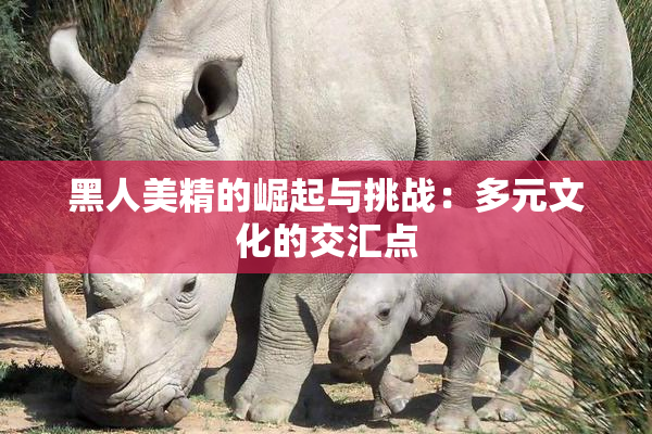 黑人美精的崛起与挑战：多元文化的交汇点