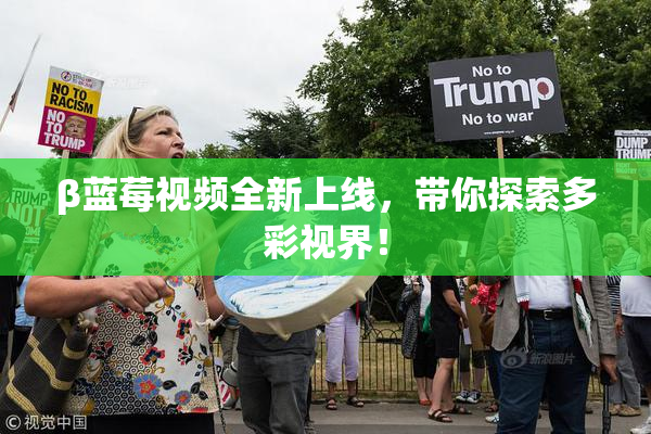 β蓝莓视频全新上线，带你探索多彩视界！