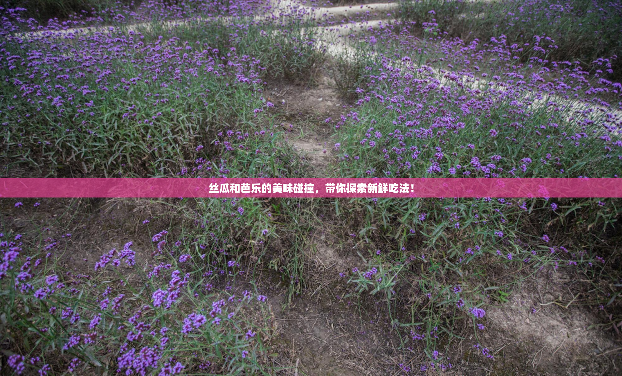 丝瓜和芭乐的美味碰撞，带你探索新鲜吃法！