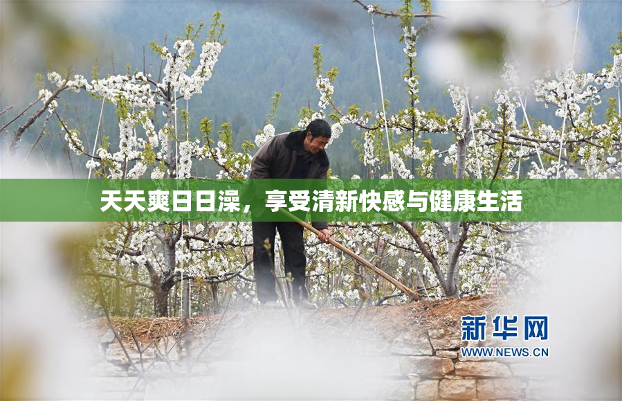 天天爽日日澡，享受清新快感与健康生活