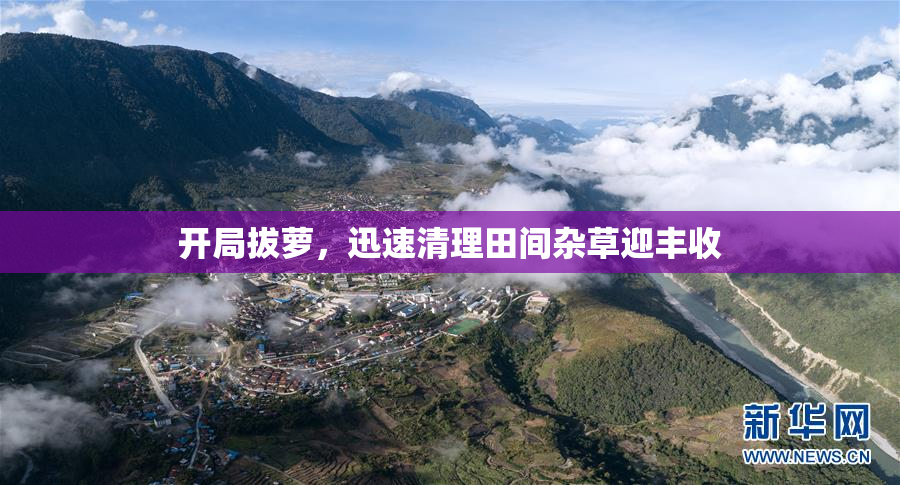 开局拔萝，迅速清理田间杂草迎丰收